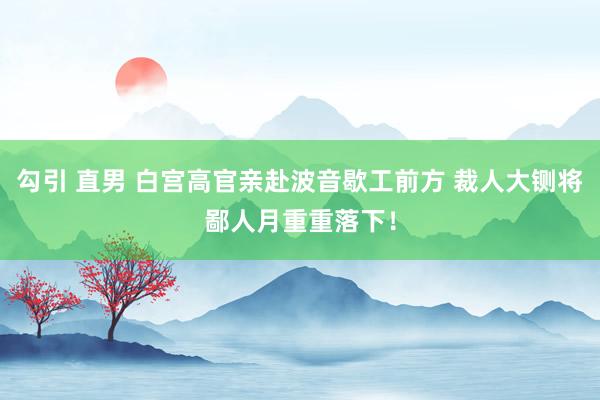 勾引 直男 白宫高官亲赴波音歇工前方 裁人大铡将鄙人月重重落下！