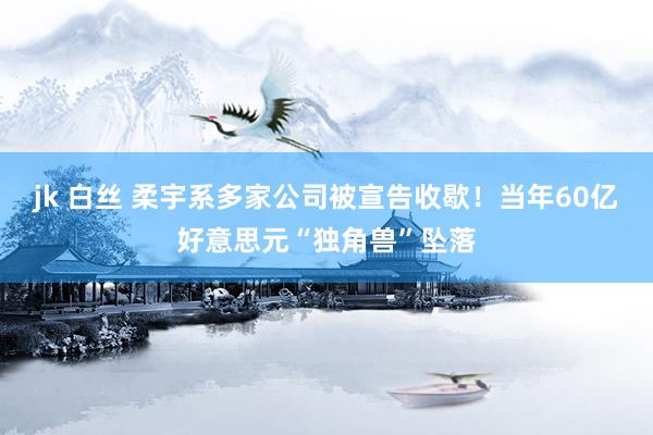 jk 白丝 柔宇系多家公司被宣告收歇！当年60亿好意思元“独角兽”坠落