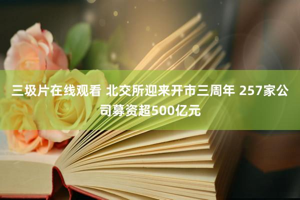 三圾片在线观看 北交所迎来开市三周年 257家公司募资超500亿元