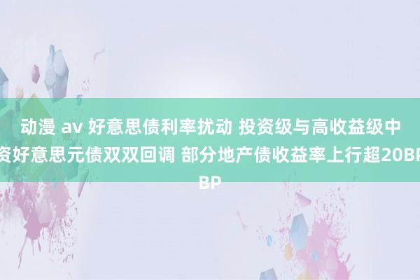 动漫 av 好意思债利率扰动 投资级与高收益级中资好意思元债双双回调 部分地产债收益率上行超20BP