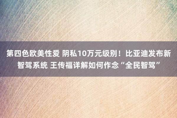第四色欧美性爱 阴私10万元级别！比亚迪发布新智驾系统 王传福详解如何作念“全民智驾”