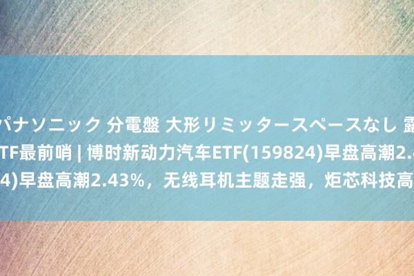 パナソニック 分電盤 大形リミッタースペースなし 露出・半埋込両用形 ETF最前哨 | 博时新动力汽车ETF(159824)早盘高潮2.43%，无线耳机主题走强，炬芯科技高潮19.99%