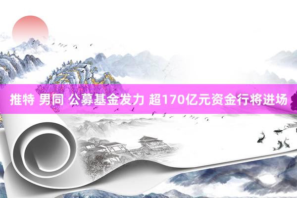 推特 男同 公募基金发力 超170亿元资金行将进场